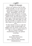 A text-based art print titled 'Wings of Change' with a decorative black border on a white background. The text describes the blue morpho butterfly and its significance, with 'Prism Passion' and 'PrismPassion.