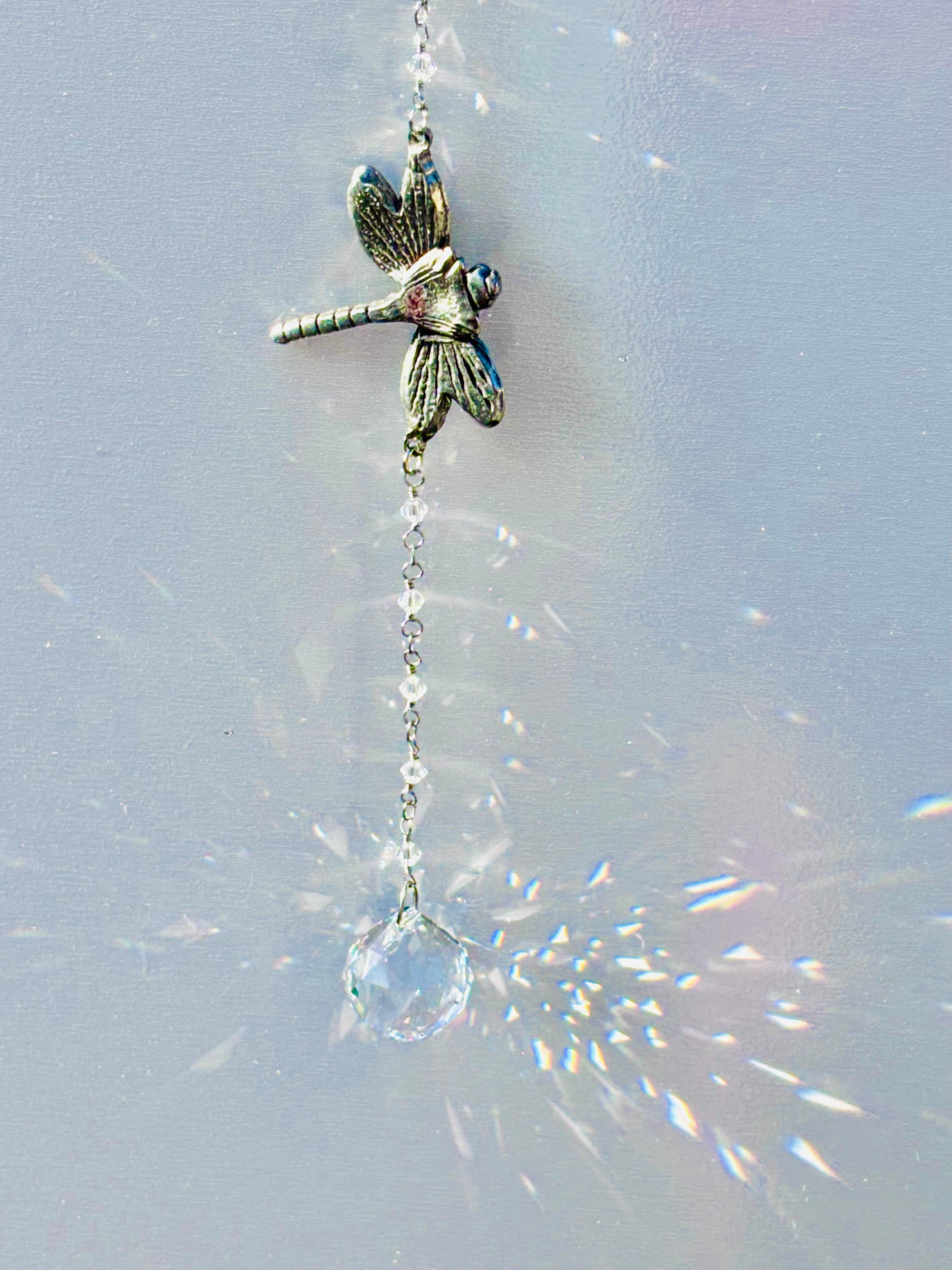 Damselfly adorned with clear Swarovski crystal ball creating prisms of rainbows. 