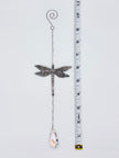 DRAGONFLY - FLIGHT OF LIFE